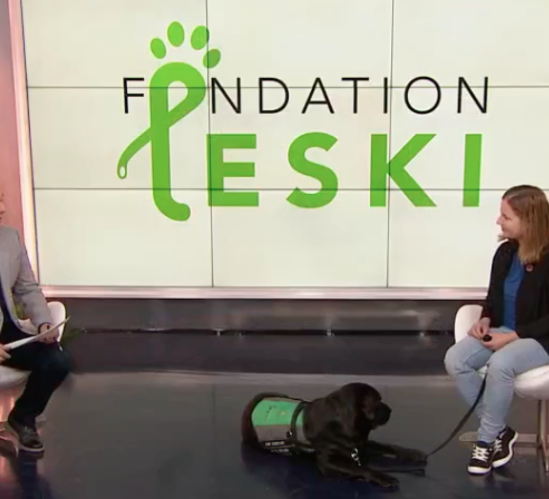Des chiens d'assistance sur demande grâce à la Fondation Leski